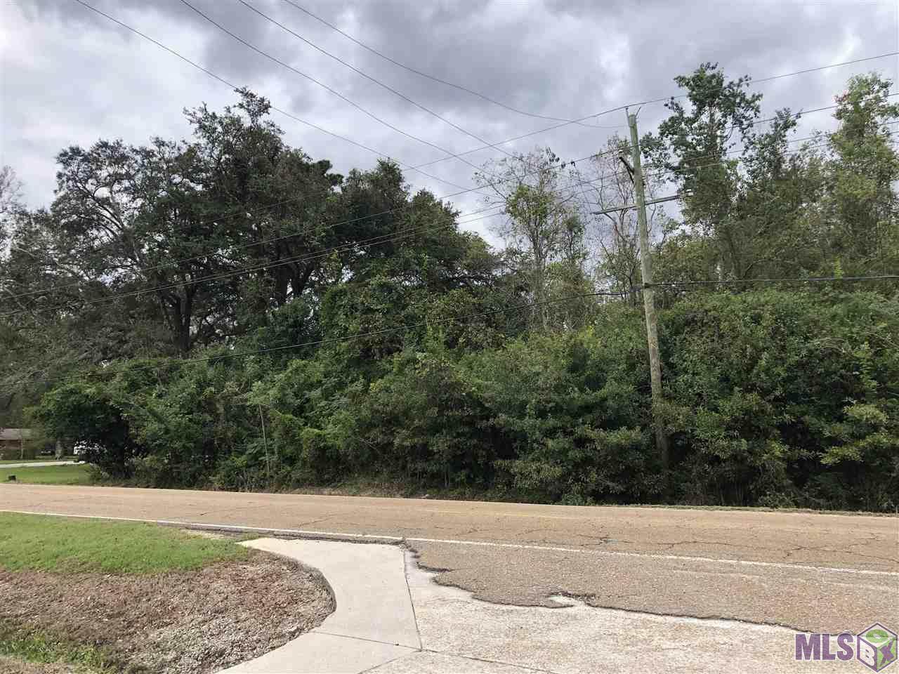 16936 Old Hammond Hwy - Photo 1