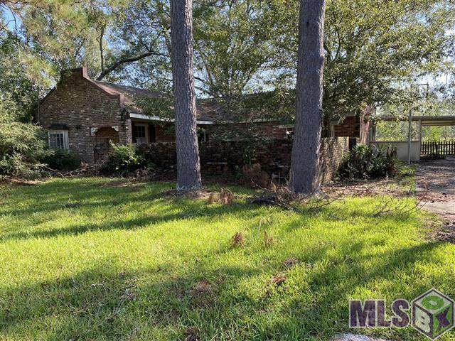 29908 Springdale Dr - Photo 1