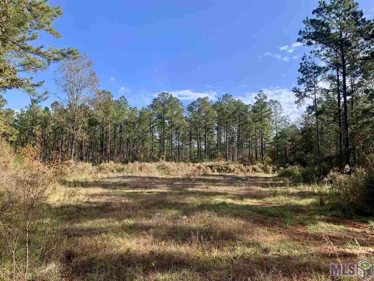 8504 Folly Brown Rd - Photo 1