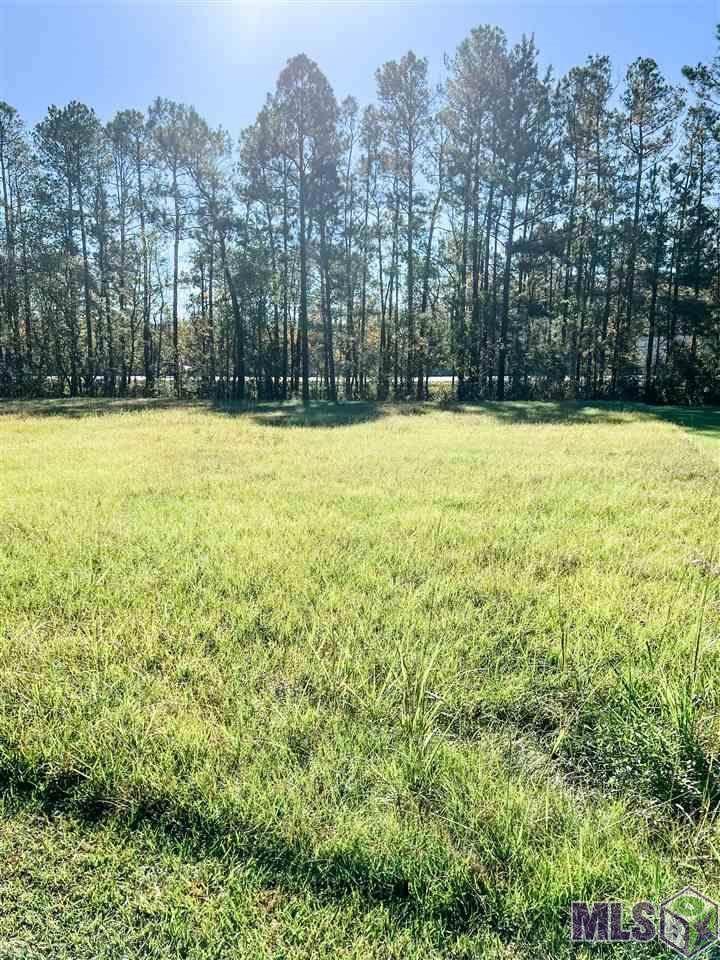 12564 Lakeshore Dr - Photo 1