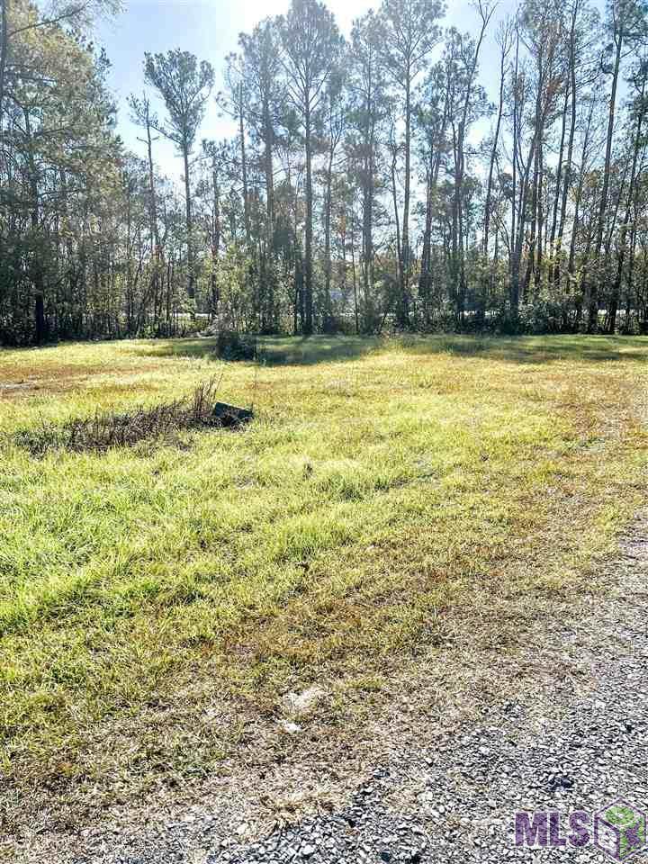 12582 Lakeshore Dr - Photo 1