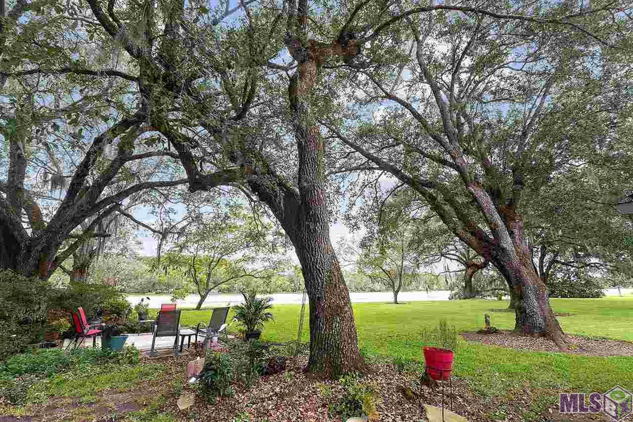 333 Cajun St - Photo 1