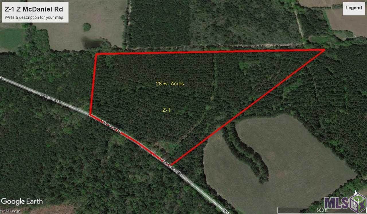 Z-1 Z Mcdaniel Rd - Photo 1