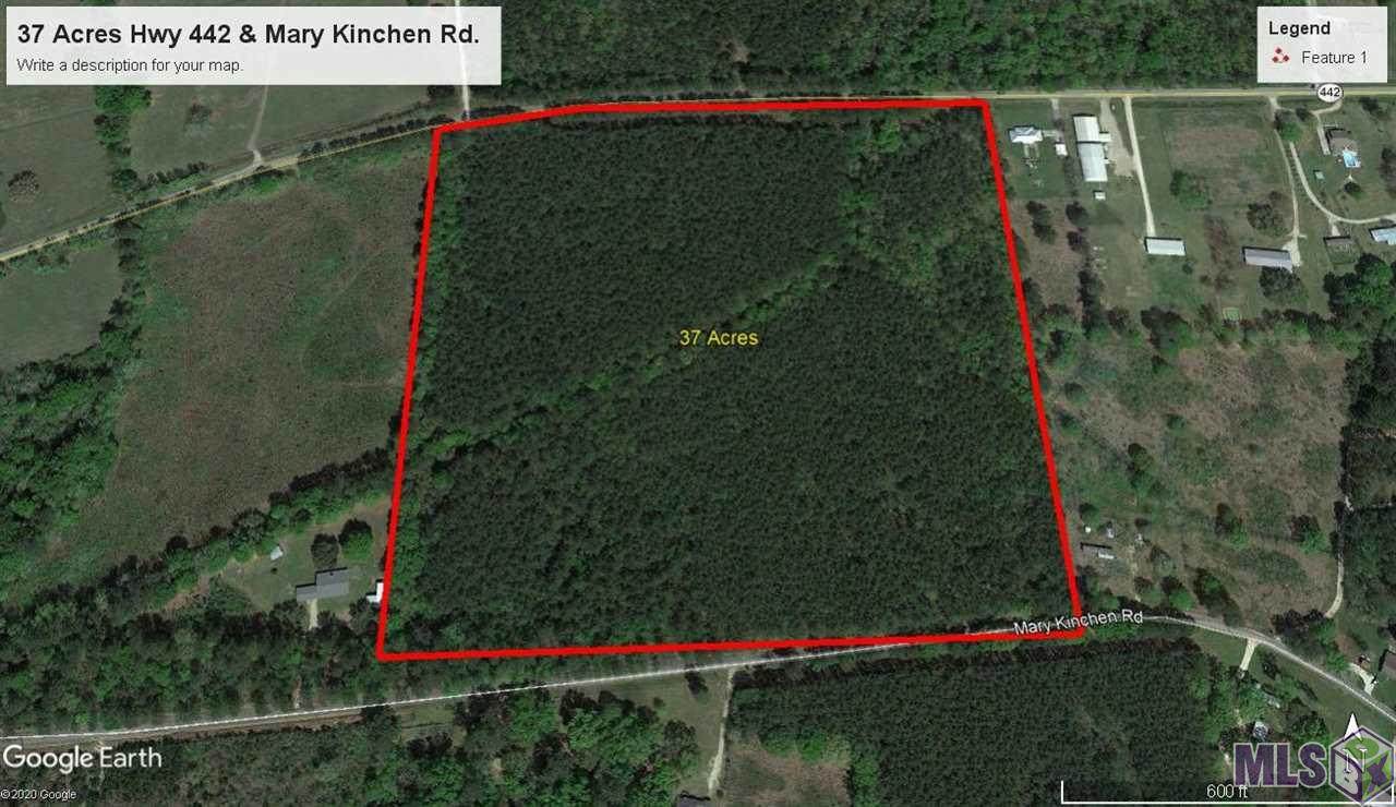 N/A Mary Kitchen Rd - Photo 1
