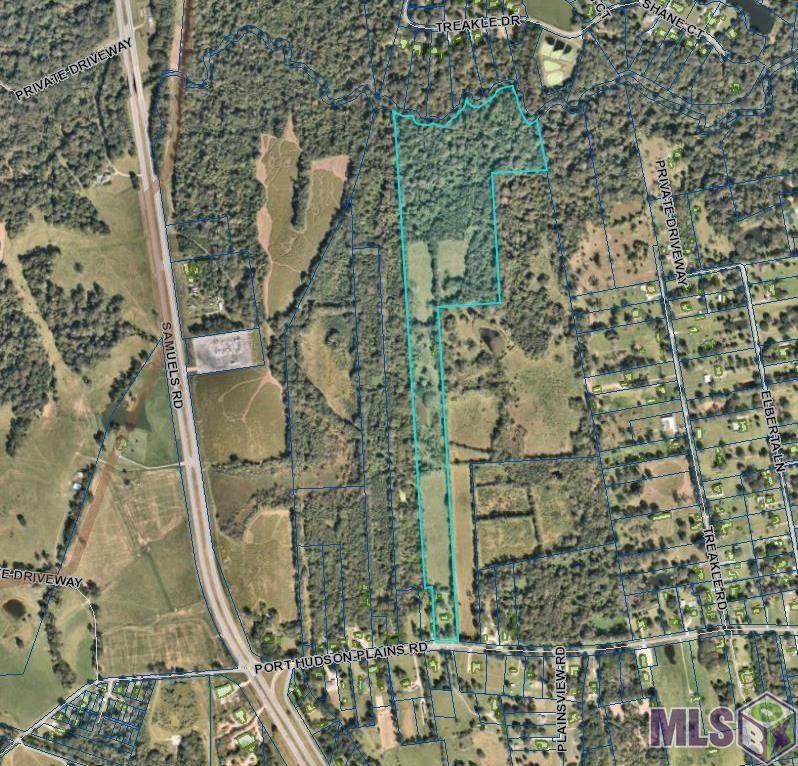 217 Plains Port Hudson Rd - Photo 1