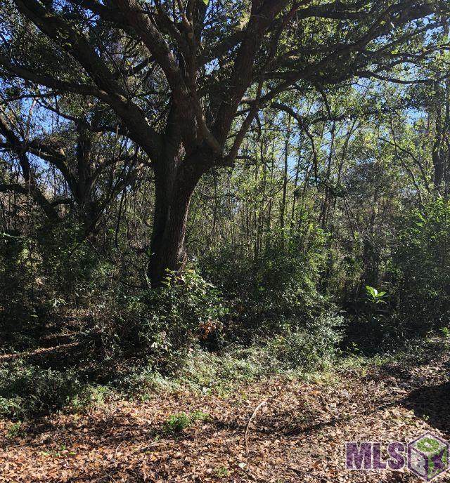 TBD Robert Rd - Photo 1