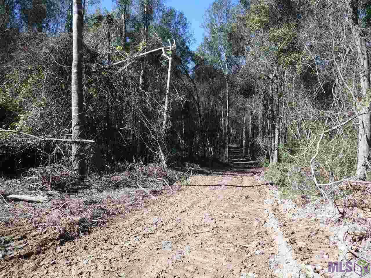 X5 La Hwy 955 - Photo 1
