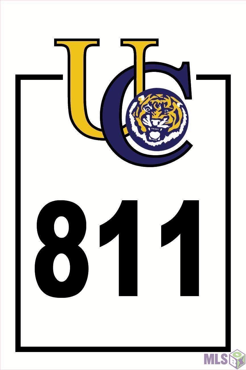 1654 Tiger Crossing Dr - Photo 1