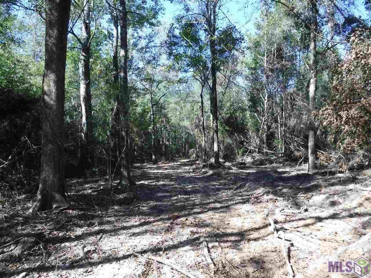 X6 La Hwy 955 - Photo 1