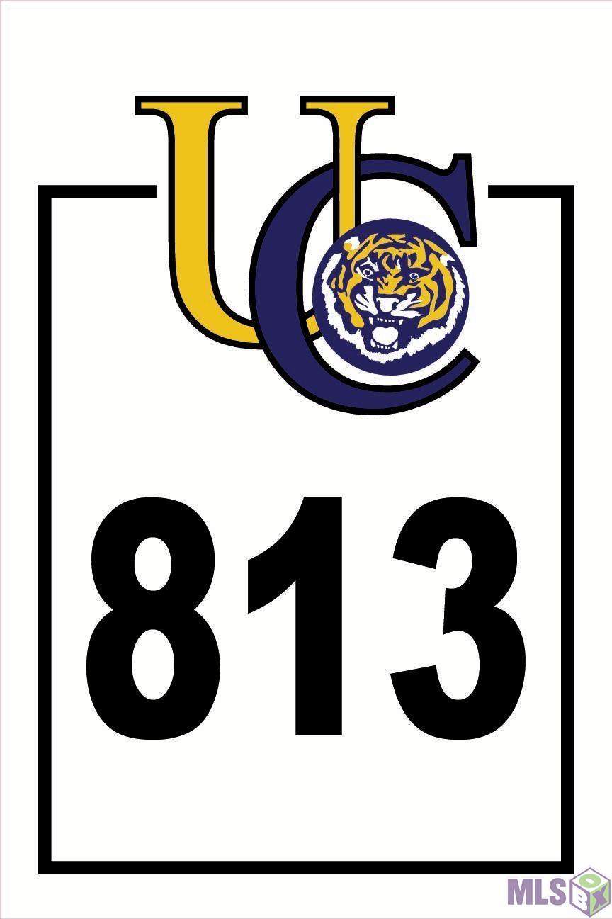 1607 Tiger Crossing Dr - Photo 1