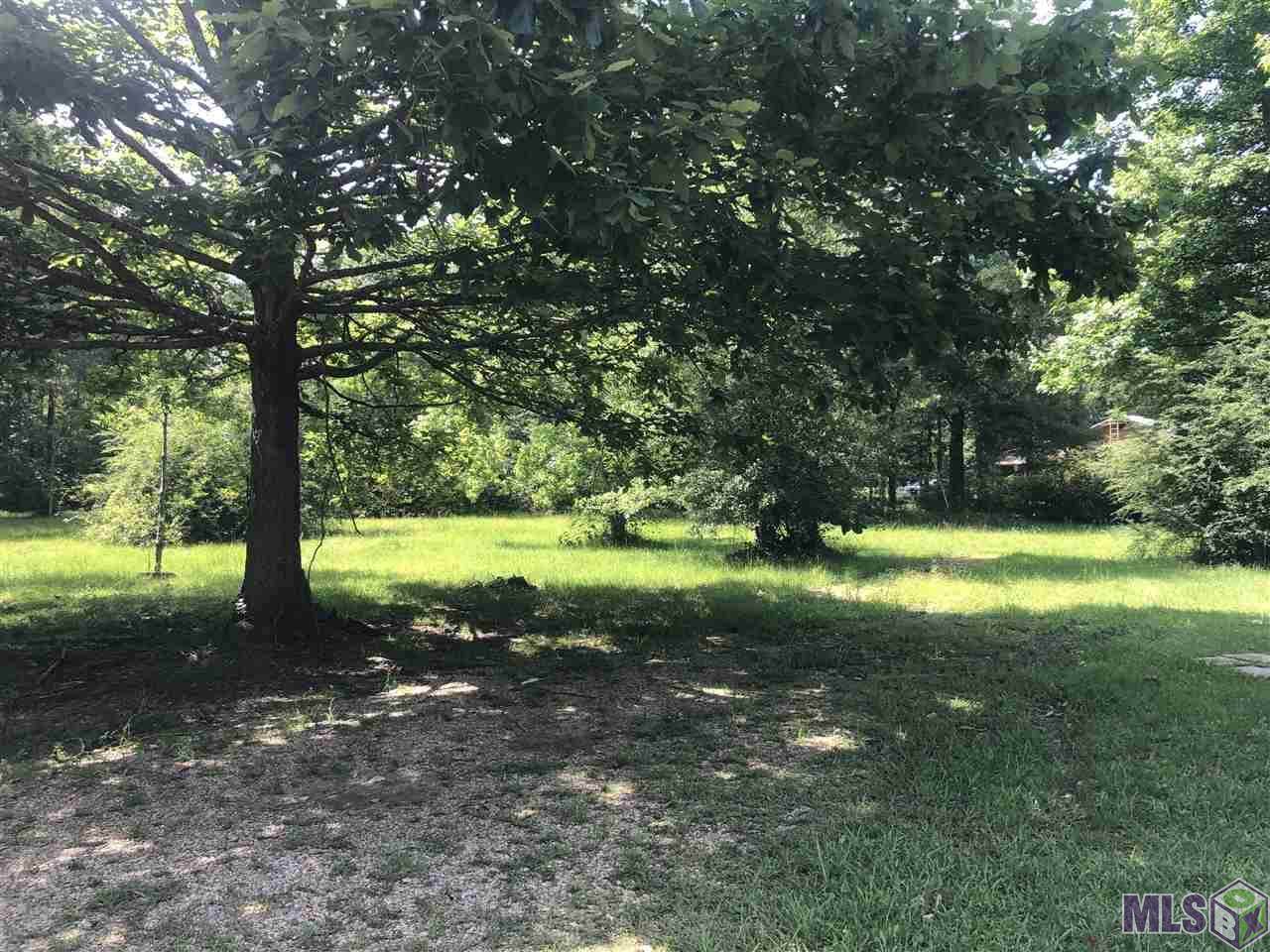 37490 Reinninger Rd - Photo 1