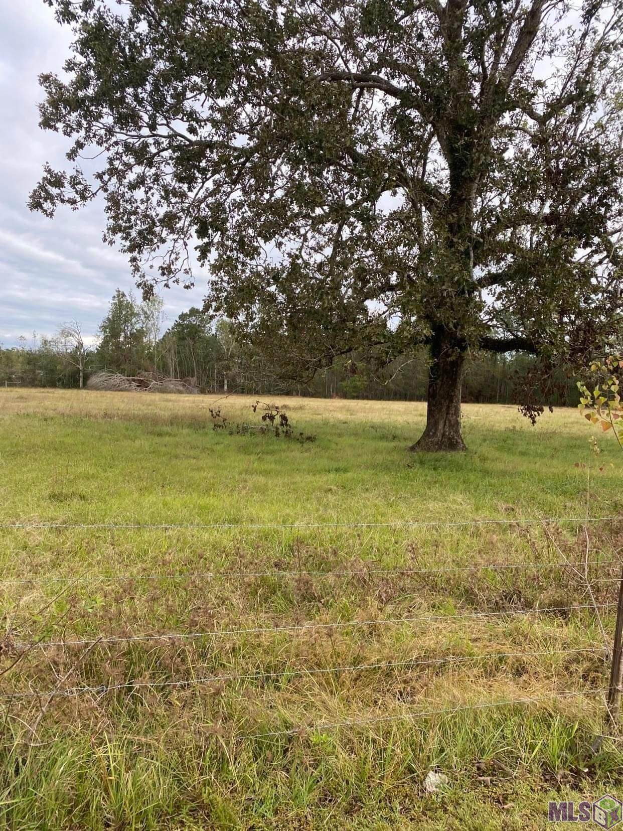 TBD-3 Henry White Rd - Photo 1