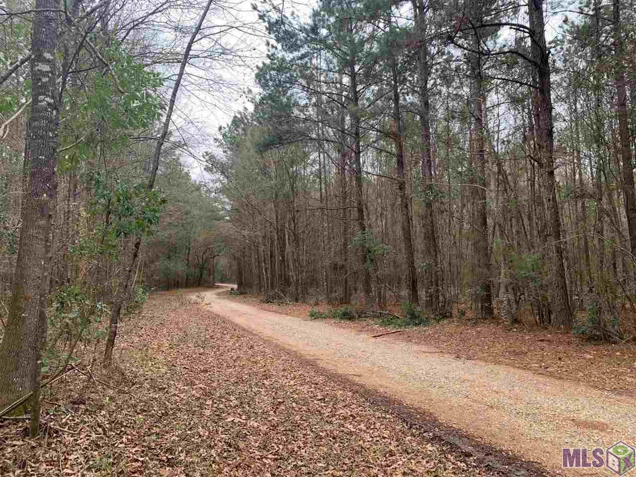 Lot 48 Burkett Ln - Photo 1