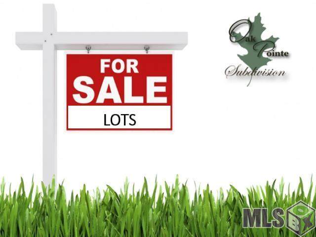 TBD Silver Oak Dr - Photo 1