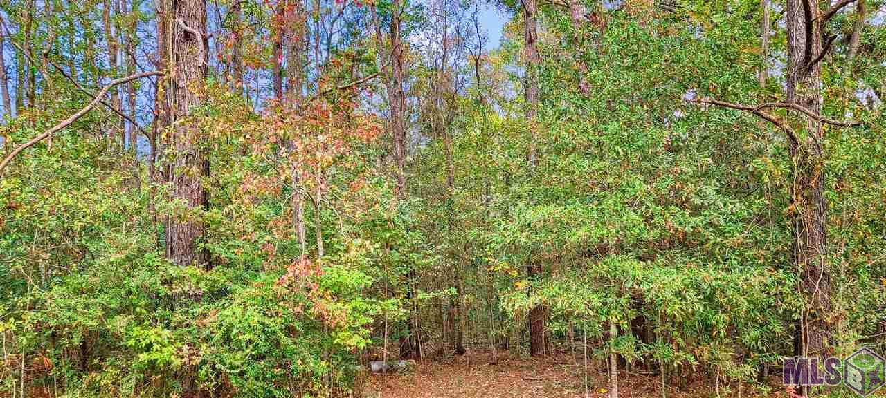 36793-B Cryer Rd - Photo 1