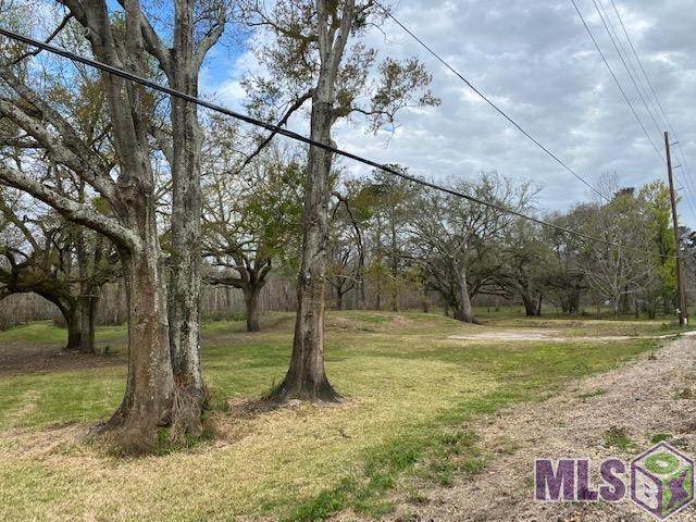 16019 Bluff Rd - Photo 1