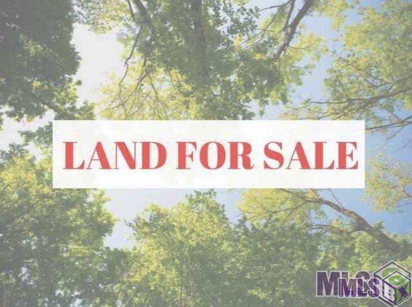38387 Pierce Rd - Photo 1