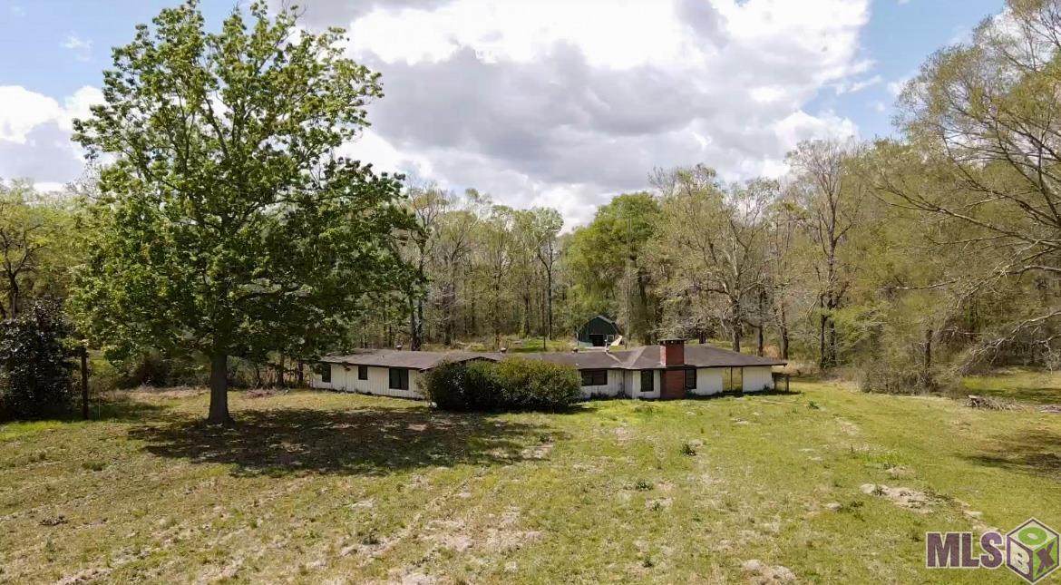 19675 Plank Rd - Photo 1