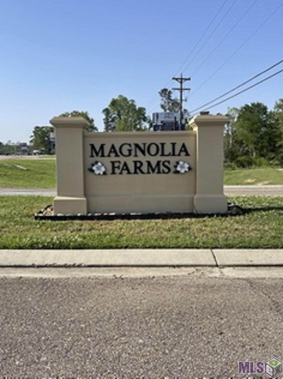 Lot 91 Amite Springs Dr - Photo 1