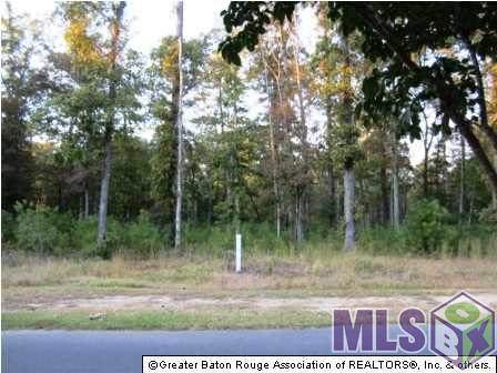 13969 Clubhouse Way Dr - Photo 1