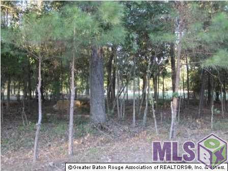 https://bt-photos.global.ssl.fastly.net/batonrouge/orig_boomver_1_2022007632-2.jpg