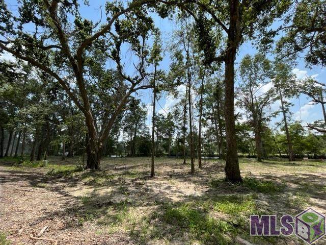 14269 Old River Rd - Photo 1