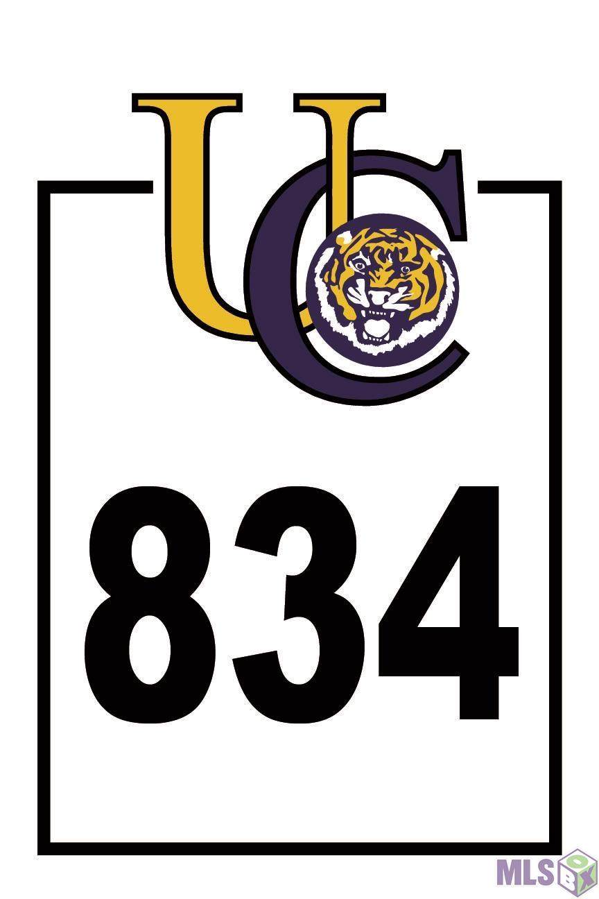 1736 Tiger Crossing Dr - Photo 1