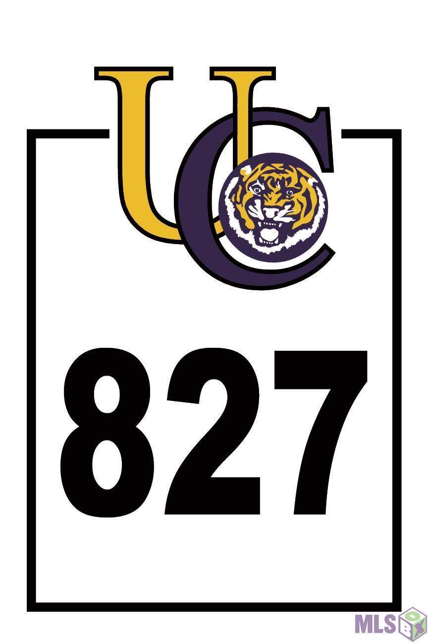 1832 Tiger Crossing Dr - Photo 1