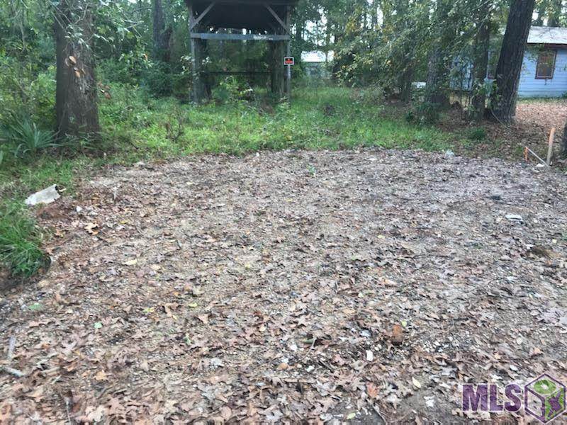 31926 Pats Ln - Photo 1