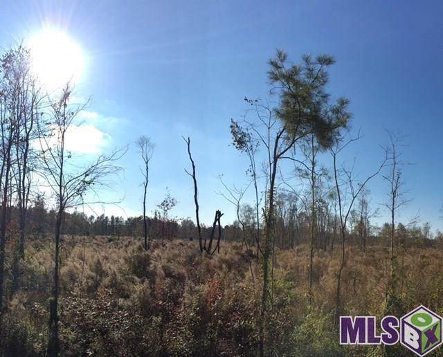 T-8 Palmer Rd - Photo 1