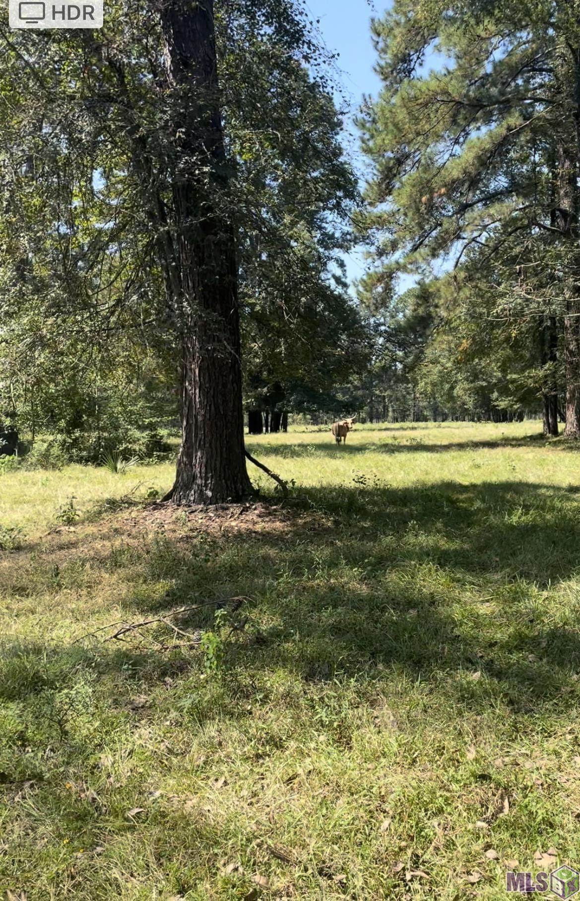 Lot A 31-6-4 Lockhart Ln - Photo 1