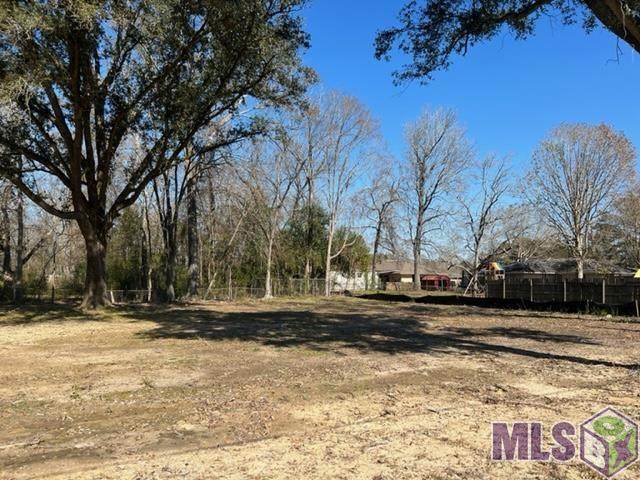 TBD Oliphant Rd - Photo 1
