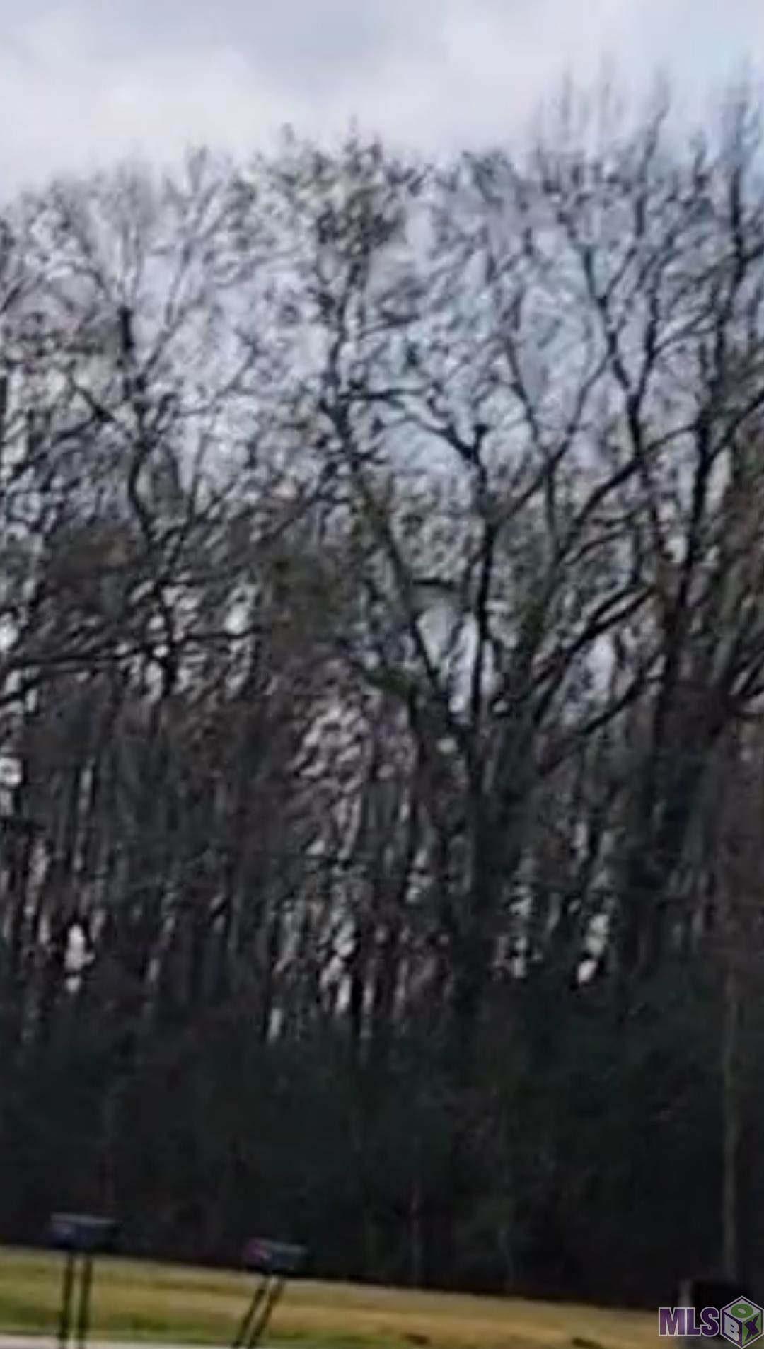 Lot 65 Odessa Dr - Photo 1