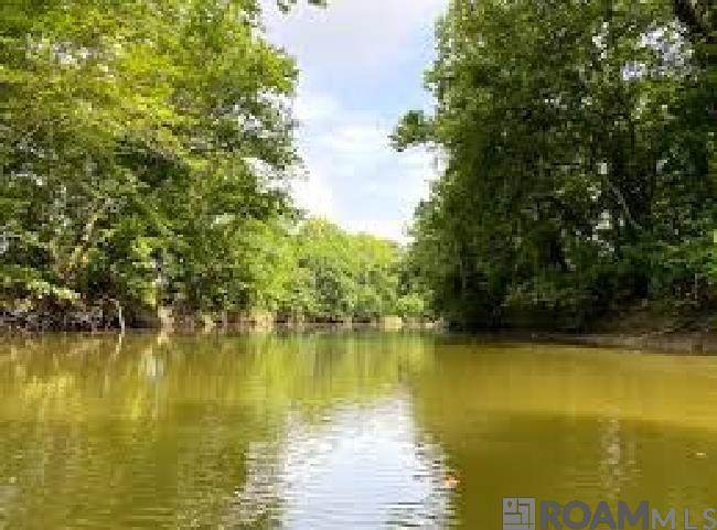 39148A Camp Dr - Photo 1