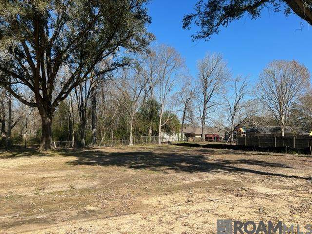 TBD Oliphant Rd - Photo 1
