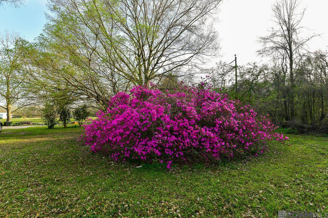 https://bt-photos.global.ssl.fastly.net/batonrouge/orig_boomver_1_2025004903-2.jpg