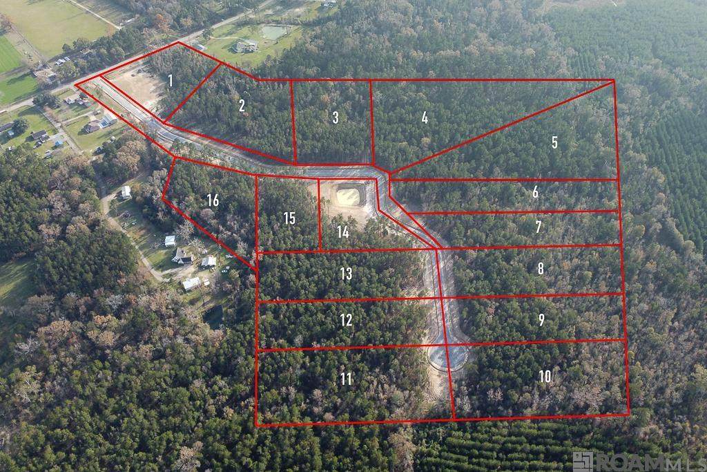 18263 Settlement Trace - Photo 1