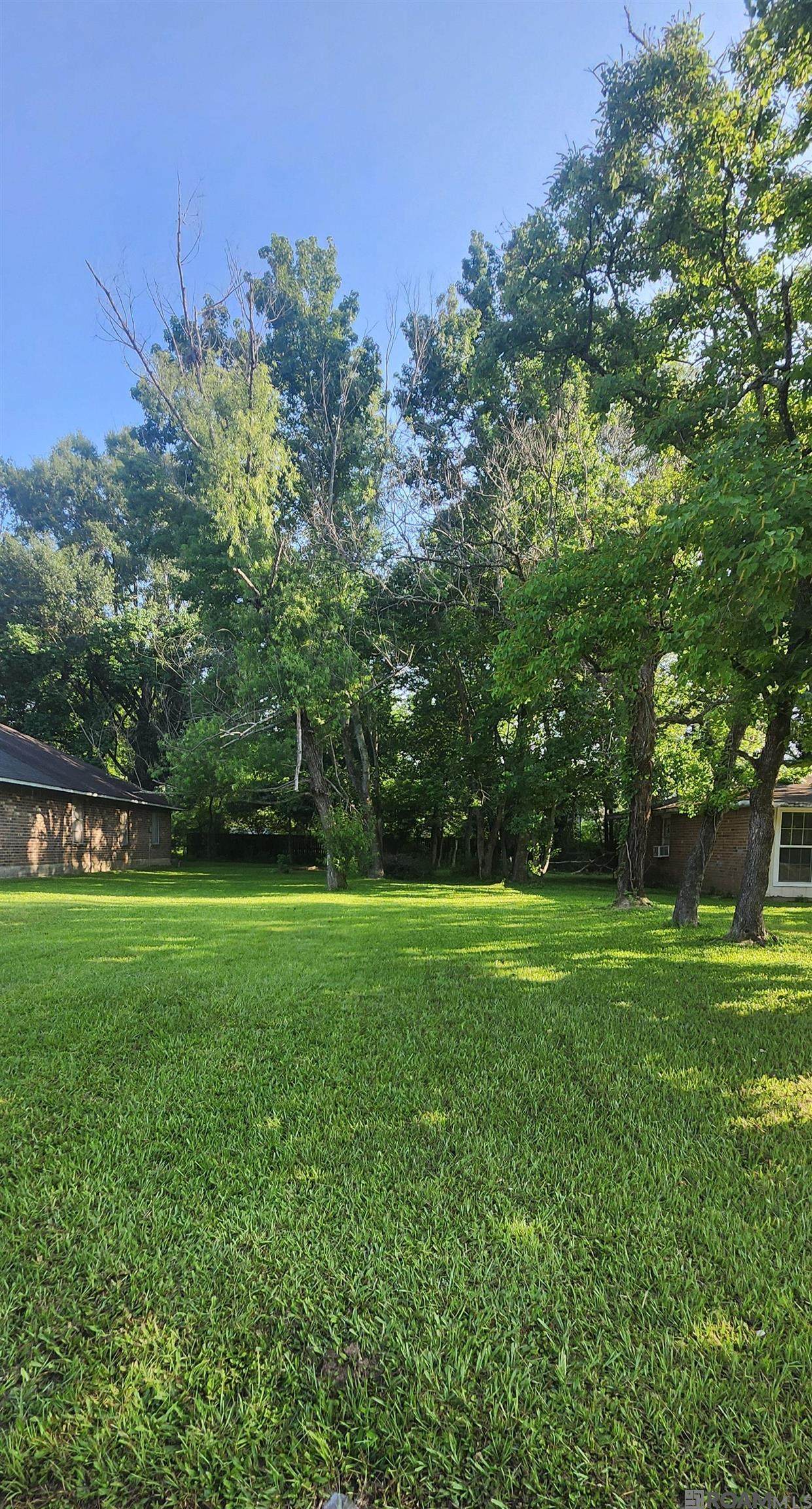 Lot 29 Tracy Ave - Photo 1