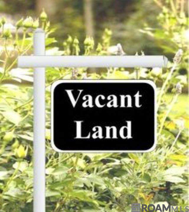 10297 Buddy Gore Rd - Photo 1