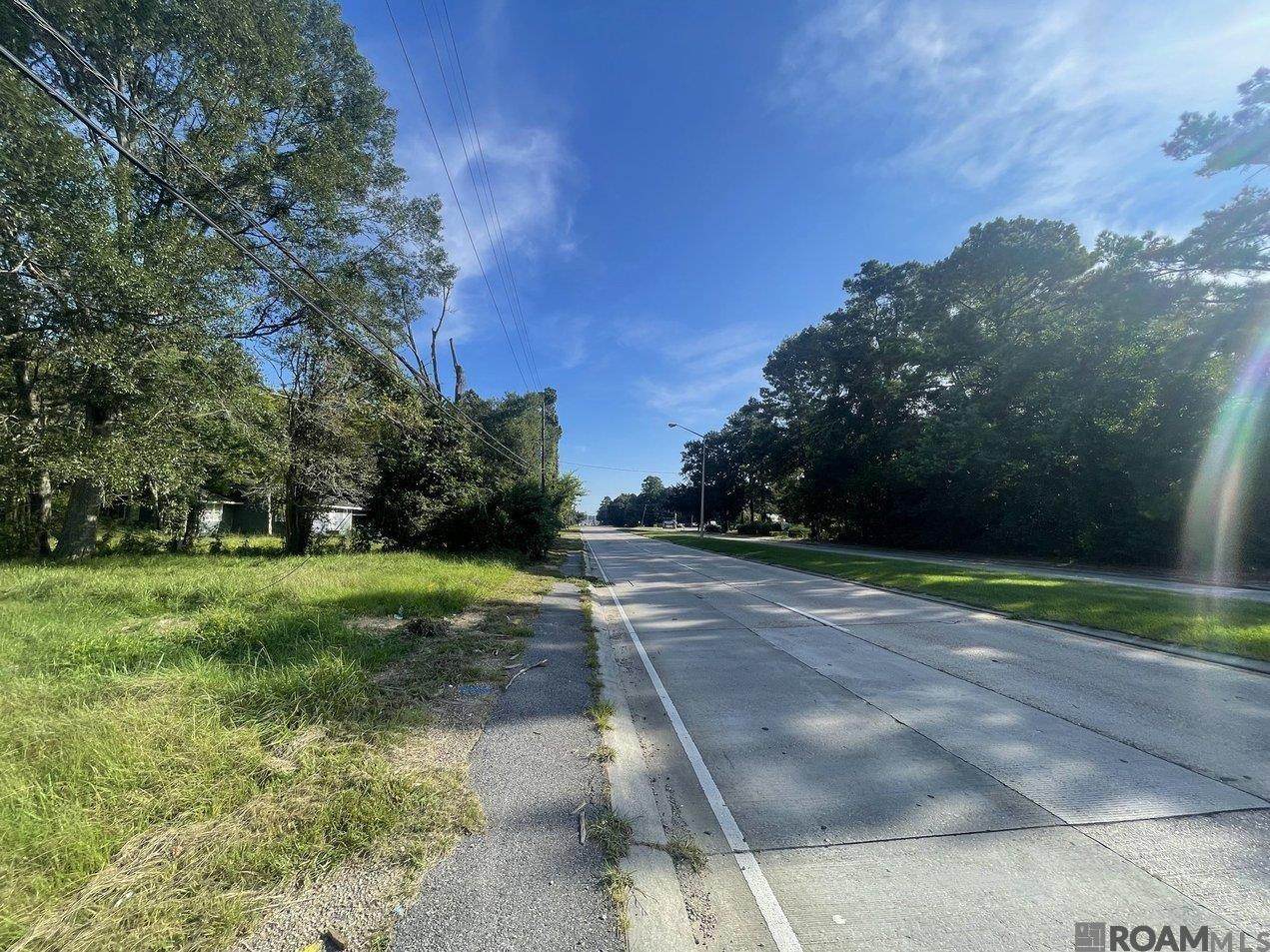 13261 Plank Rd - Photo 1