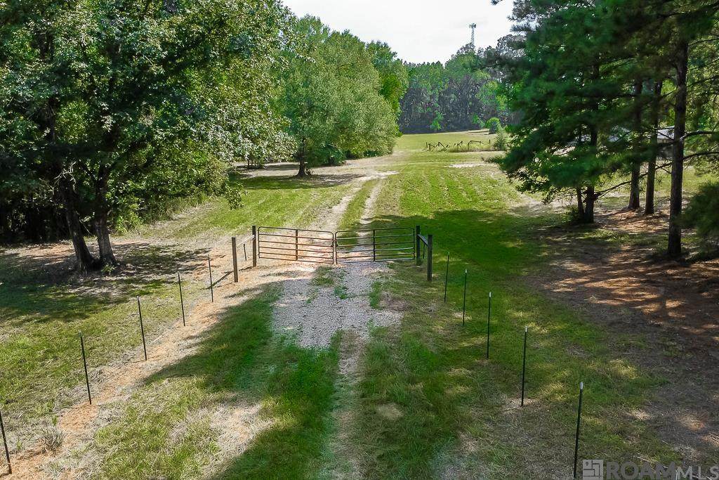 13101 Boeneke Rd - Photo 1