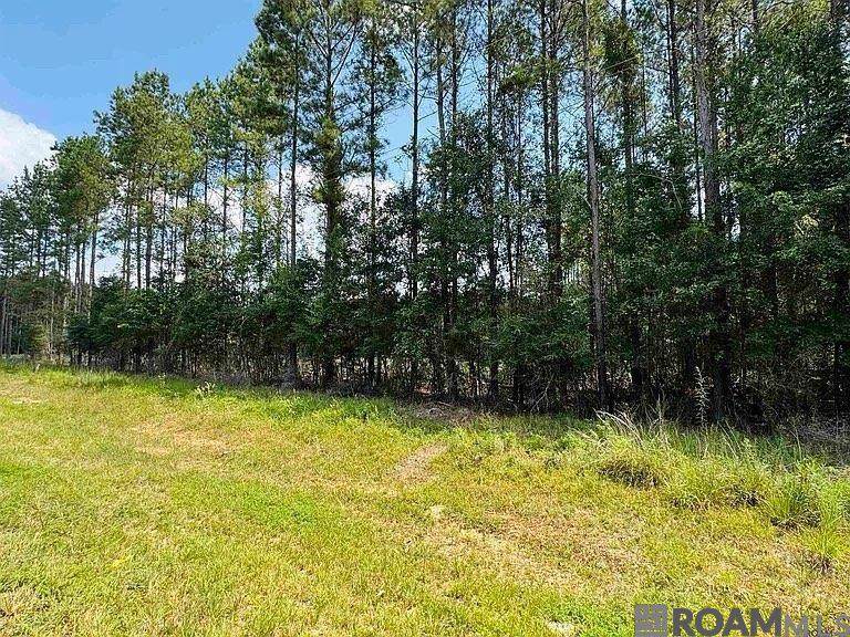 Lot 4 La Hwy 449 - Photo 1