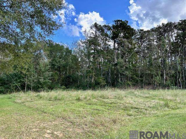 19348 Plantation Trace Dr - Photo 1