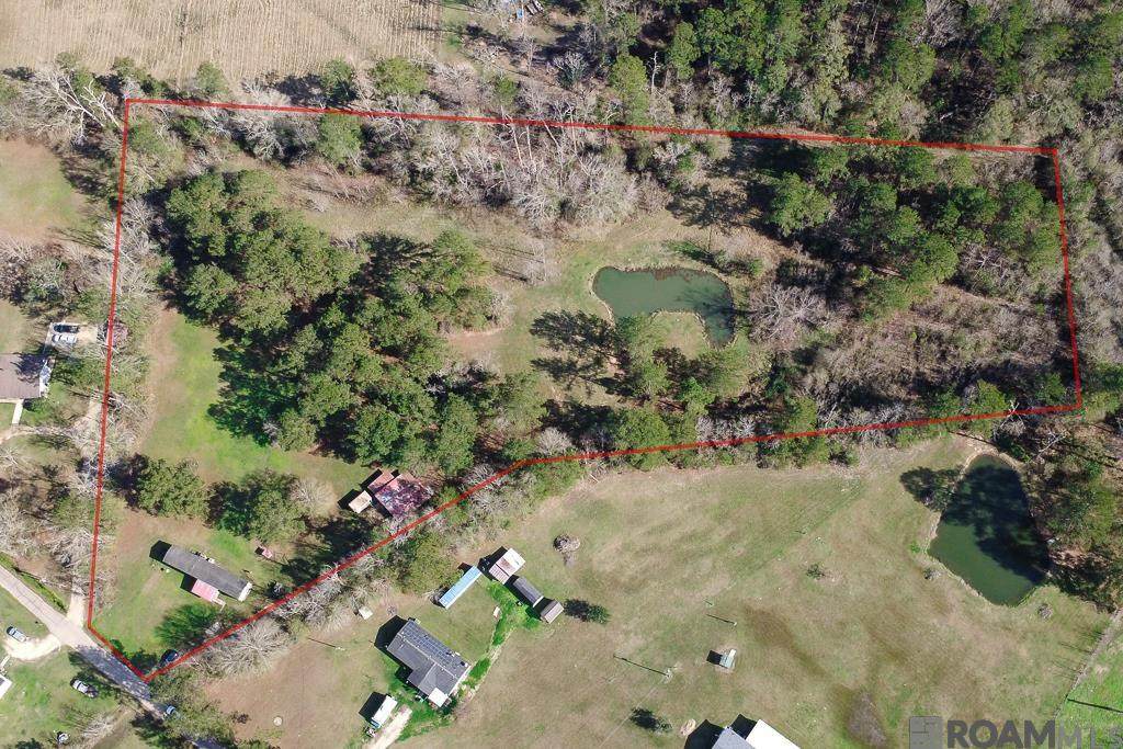 32730 Bill Williams Rd - Photo 1