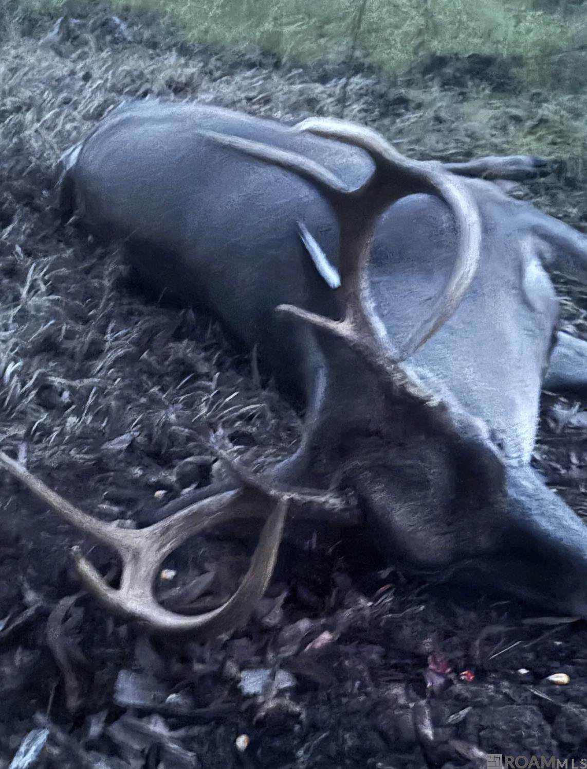 https://bt-photos.global.ssl.fastly.net/batonrouge/orig_boomver_1_2026005156-2.jpg