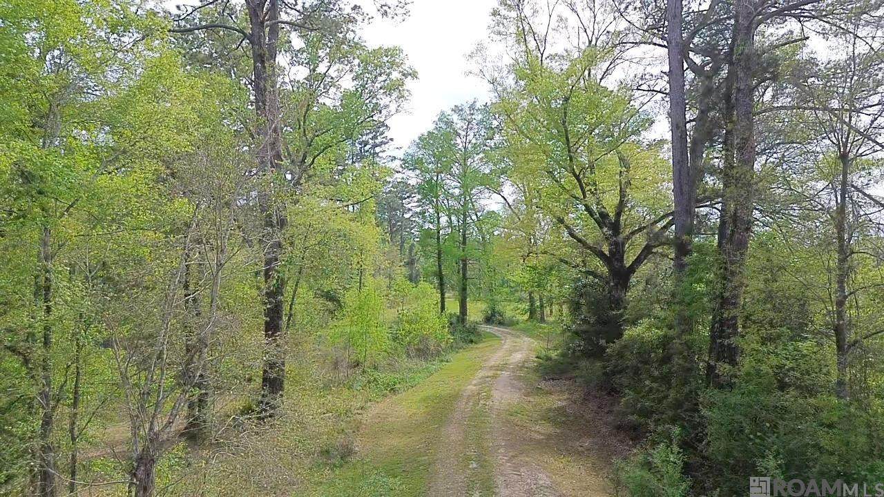 10924 Arnold Rd - Photo 1