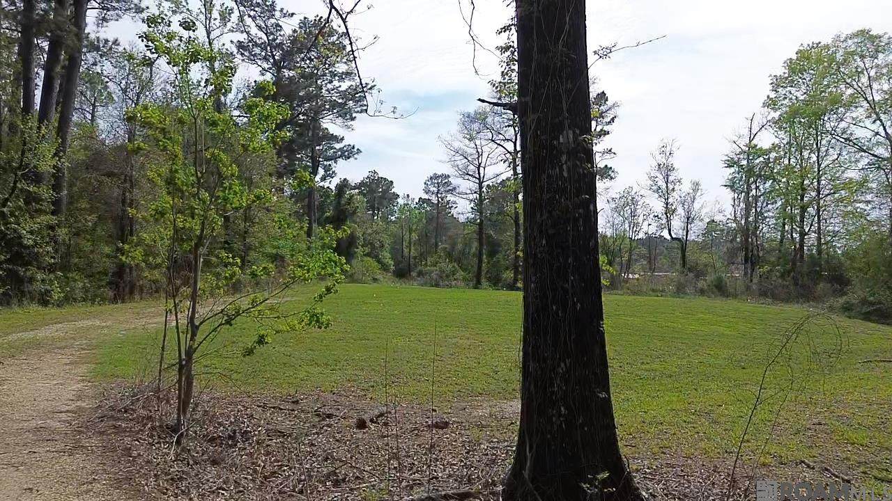 https://bt-photos.global.ssl.fastly.net/batonrouge/orig_boomver_1_2026005296-2.jpg
