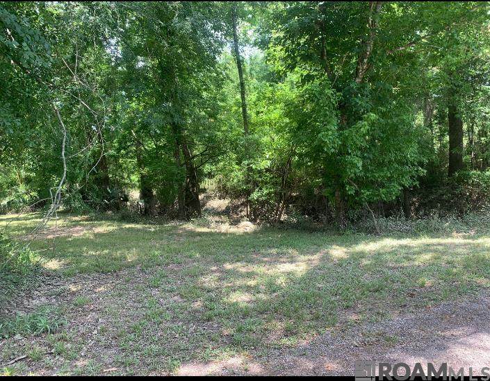  Amite River Rd - Photo 1