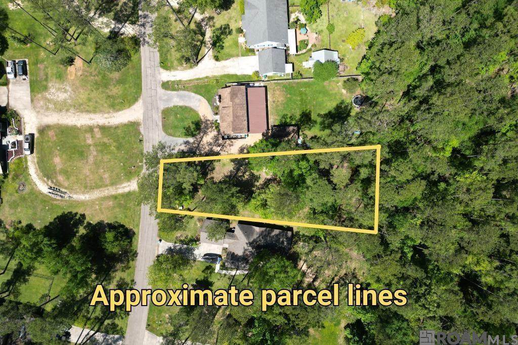31531 River Pines Dr - Photo 1