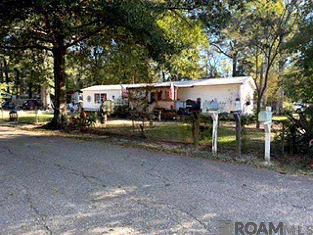 34228 Magnolia Wood Dr - Photo 1